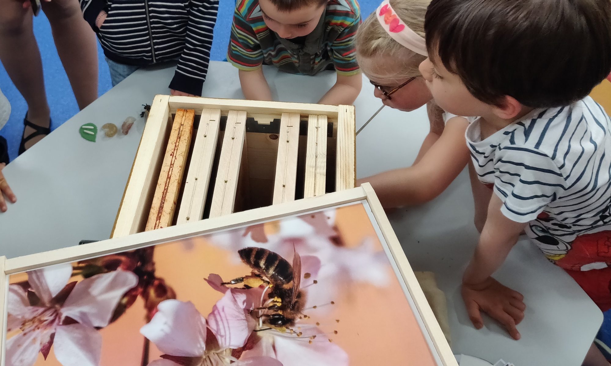 Enfants découvrant l'apiculture